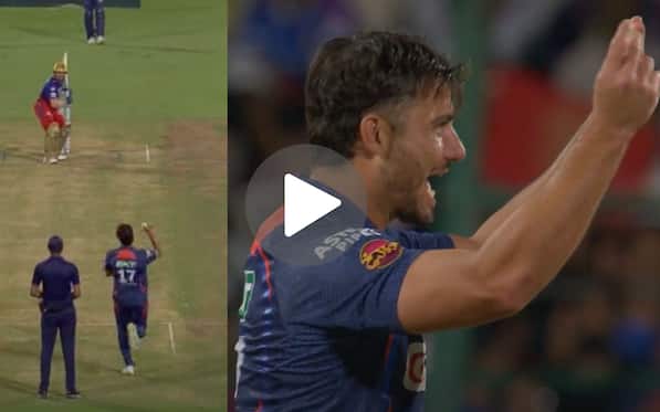 [Watch] Marcus Stoinis' 'Belly Dance' As He Puts RCB in Deep Hole With Rawat's Wicket